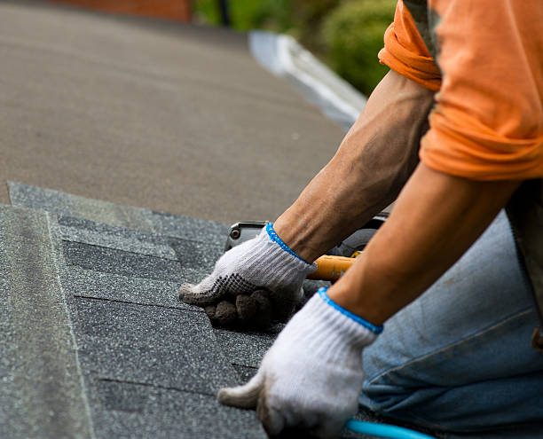 Best Roof Maintenance Services  in Berry Creek, CA