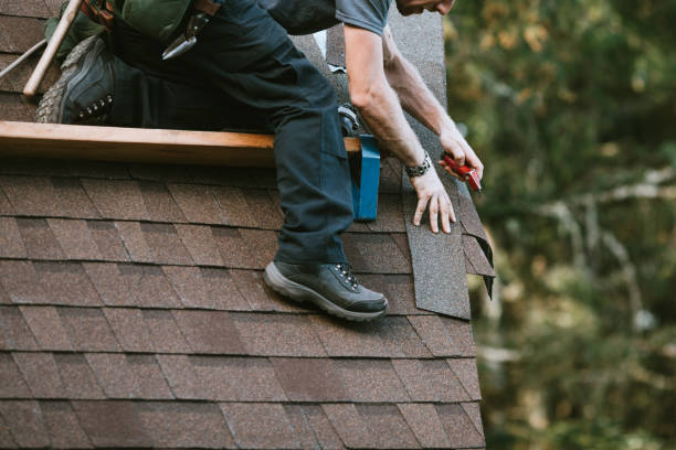 Best Metal Roofing Contractor  in Berry Creek, CA